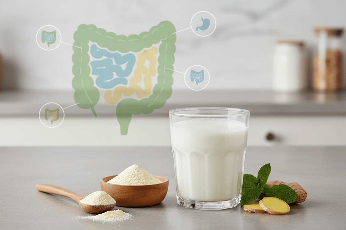 Why Colostrum Is the Ultimate Gut-Healing Supplement - butr